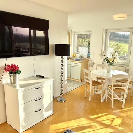Апартаменты Panorama Domizil Ravensburg Mit Alpenblick Balkon Экстерьер фото