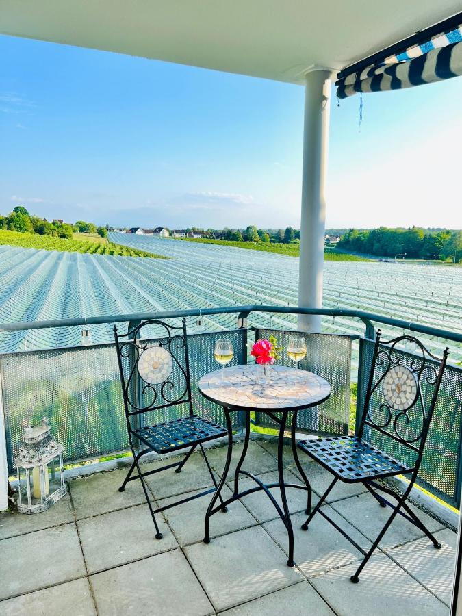 Апартаменты Panorama Domizil Ravensburg Mit Alpenblick Balkon Экстерьер фото